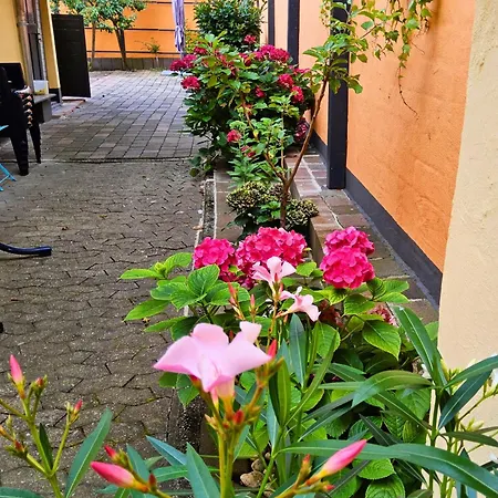 Apartment Casa Gia Dg *